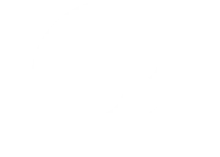 partner7-2